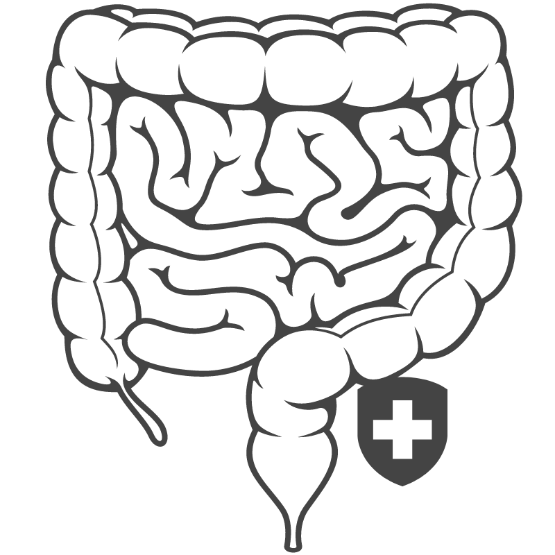 Gut Health Icon