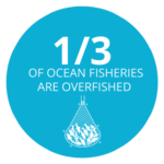 avoid overfishing omega 3 from algae