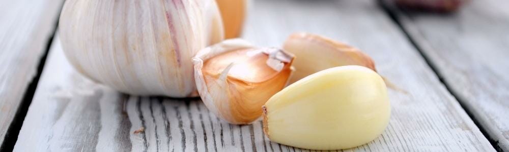 vegan foods for inflammation white garlic by milestone food for your genes